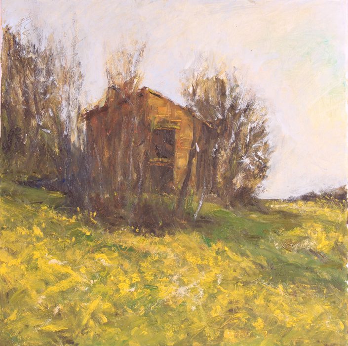 paesaggi-015