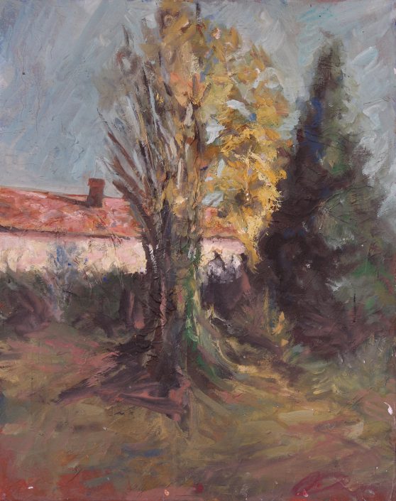 paesaggi-021