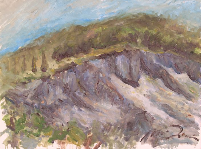 paesaggi-025